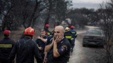 Άγγελος Συρίγος: Πολυδιάσπαση Μηχανισμών Συντονισμού