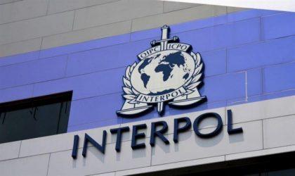 Ρωσική ήττα στην εκλογή νέου προέδρου της Ιντερπόλ