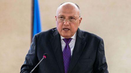 Σε Συρία και Τουρκία ο Αιγύπτιος ΥΠΕΞ για πρώτη φορά μετά από μια δεκαετία