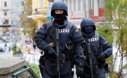 Αυστρία: Κατασχέθηκαν όπλα που προορίζονταν για Γερμανούς ακροδεξιούς εξτρεμιστές